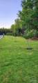 LOT 3 Sage Forest Ln - Photo 17