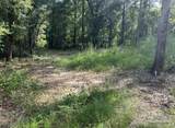 3109 Schifko Rd - Photo 3