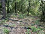 3109 Schifko Rd - Photo 4