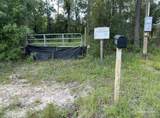 3109 Schifko Rd - Photo 7
