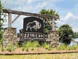 BR Lot 36 Buffalo Ridge Rd - Photo 1
