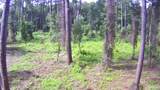 6.7 Acres Bankhead Rd - Photo 9