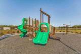 4334 Damselfly Dr - Photo 42