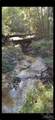 6300 BLK Deer Lake Rd - Photo 2