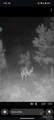 6300 BLK Deer Lake Rd - Photo 4