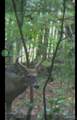 6300 BLK Deer Lake Rd - Photo 6