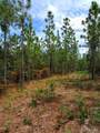 Parcel A-2 Wildlife Rd - Photo 3