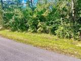 Lot 15 Sid Hayes Rd - Photo 10