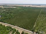 Lot 7 Bud Diamond Rd - Photo 11