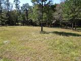 00 Longleaf Ridge - Photo 7