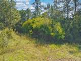 00 Robinson Point Rd - Photo 20