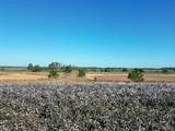 00 Hwy 99 - Photo 14