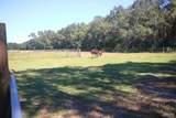 5449 Bright Meadows Rd - Photo 17