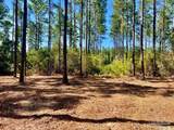 Lot 92 Turning Leaf Rd - Photo 10