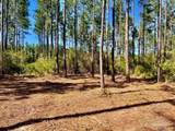 Lot 92 Turning Leaf Rd - Photo 11