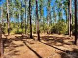 Lot 92 Turning Leaf Rd - Photo 12