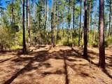 Lot 92 Turning Leaf Rd - Photo 13
