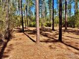 Lot 92 Turning Leaf Rd - Photo 15