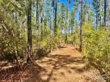 Lot 92 Turning Leaf Rd - Photo 7