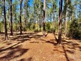 Lot 92 Turning Leaf Rd - Photo 8