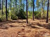 Lot 92 Turning Leaf Rd - Photo 9