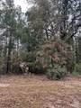 Lot 2 Pond Creek Rd - Photo 4