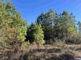 0001 Treetop Ridge Dr - Photo 1