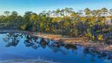 14388 Cordgrass Ln - Photo 4