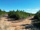 01 Robinsonville Rd - Photo 11