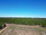 01 Robinsonville Rd - Photo 4