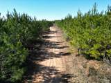 01 Robinsonville Rd - Photo 9