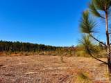 Lot 50 South Timber Ln - Photo 11