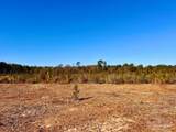 Lot 50 South Timber Ln - Photo 12