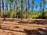 Lot 50 South Timber Ln - Photo 6