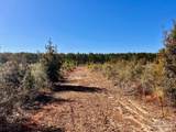 Lot 50 South Timber Ln - Photo 7