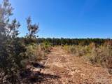 Lot 50 South Timber Ln - Photo 8