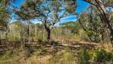 0000 Terra Sombra Ct - Photo 11