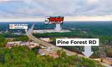 PINE FOREST RD Kersey Rd - Photo 5