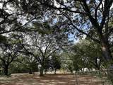 4521 Oak Forest Dr - Photo 4