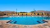 3103 Silver Maple Dr - Photo 5