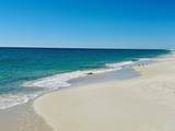 16287 Perdido Key Dr - Photo 44