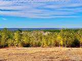 Lot 13 BR Buffalo Ridge Rd - Photo 11