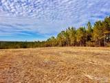 Lot 13 BR Buffalo Ridge Rd - Photo 14