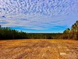 Lot 13 BR Buffalo Ridge Rd - Photo 16