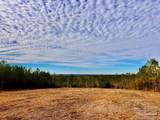 Lot 13 BR Buffalo Ridge Rd - Photo 17