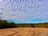 Lot 13 BR Buffalo Ridge Rd - Photo 18