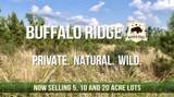 Lot 13 BR Buffalo Ridge Rd - Photo 20