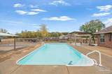 2642 Grandaddy Ln - Photo 41