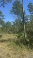  Robinson Point Rd - Photo 13
