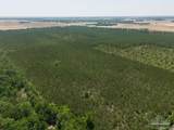 11 Bud Diamond Rd - Photo 1